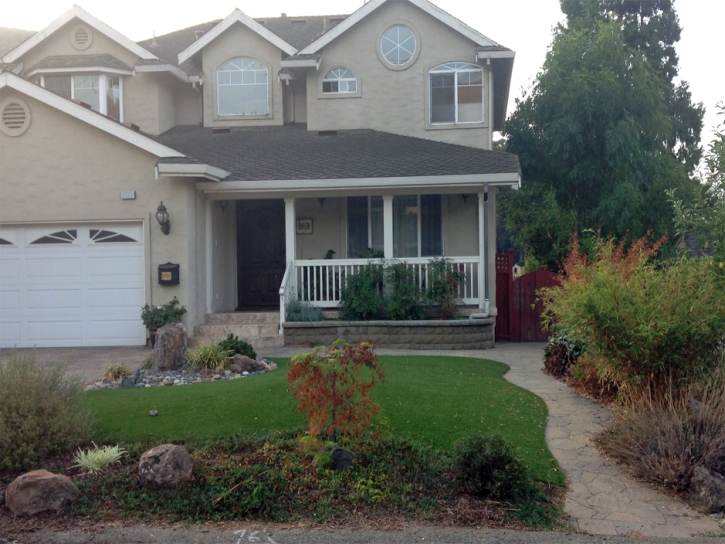 Fake Grass Lake Mack-Forest Hills, Florida Backyard Playground, Front Yard Ideas