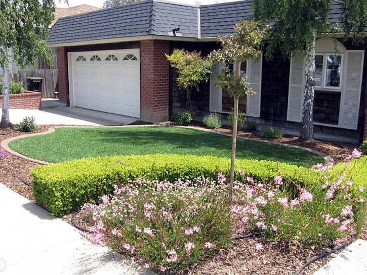 Fake Grass Madison, Florida City Landscape, Landscaping Ideas For Front Yard