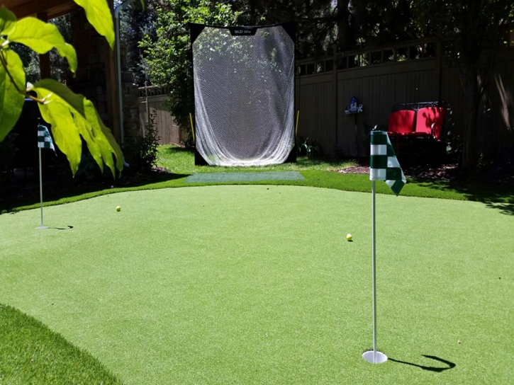 Fake Grass Mascotte, Florida Indoor Putting Green, Backyard Garden Ideas