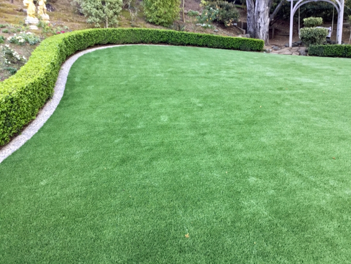 Fake Grass Montverde, Florida Garden Ideas, Backyard Designs