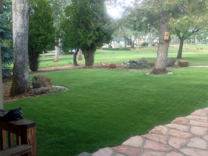 Fake Grass Ocoee, Florida Paver Patio, Small Front Yard Landscaping