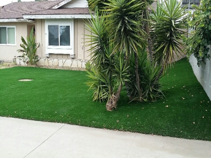 Fake Grass Pine Lakes, Florida Home And Garden, Front Yard