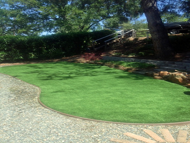 Fake Grass Waukeenah, Florida Garden Ideas, Backyard Ideas