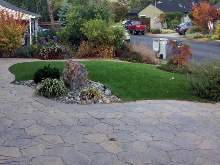 Fake Lawn Bay Lake, Florida Landscape Rock, Front Yard Landscape Ideas