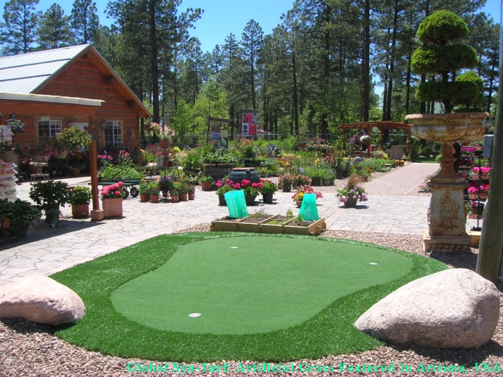 Fake Lawn Bellair-Meadowbrook Terrace, Florida Backyard Playground, Backyard Garden Ideas