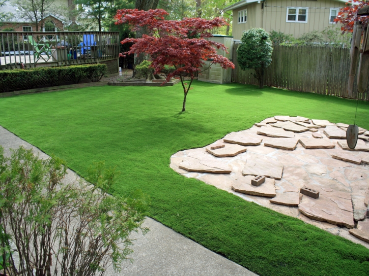 Fake Lawn Cape Canaveral, Florida Lawn And Garden, Beautiful Backyards