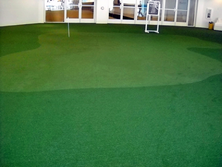 Fake Lawn Christmas, Florida Backyard Putting Green, Commercial Landscape