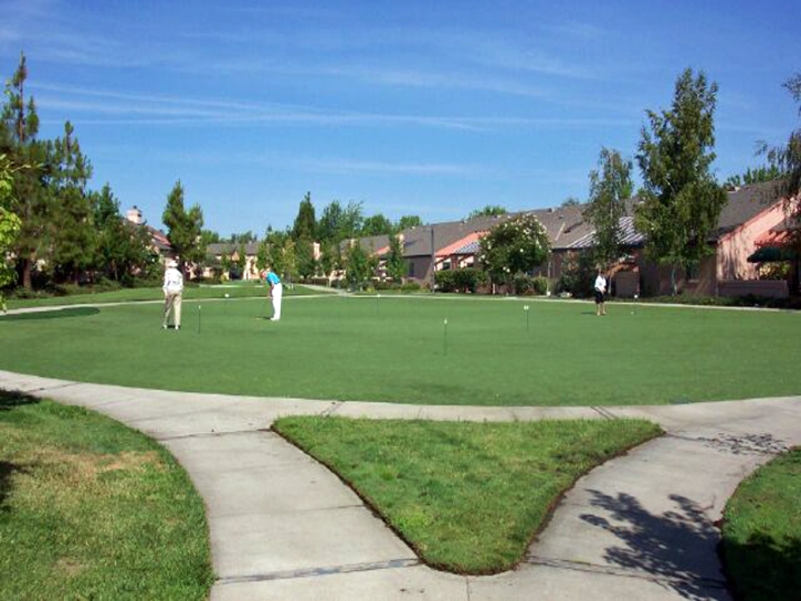 Fake Lawn McIntosh, Florida Indoor Putting Green, Commercial Landscape