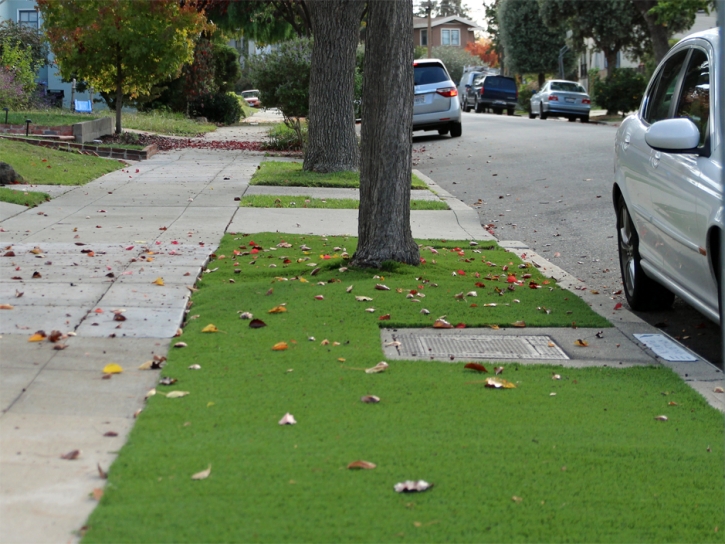 Fake Lawn Watertown, Florida Lawn And Landscape, Small Front Yard Landscaping