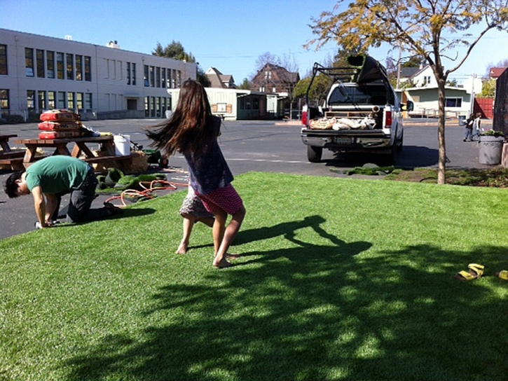 Fake Lawn Wedgefield, Florida Backyard Playground, Commercial Landscape