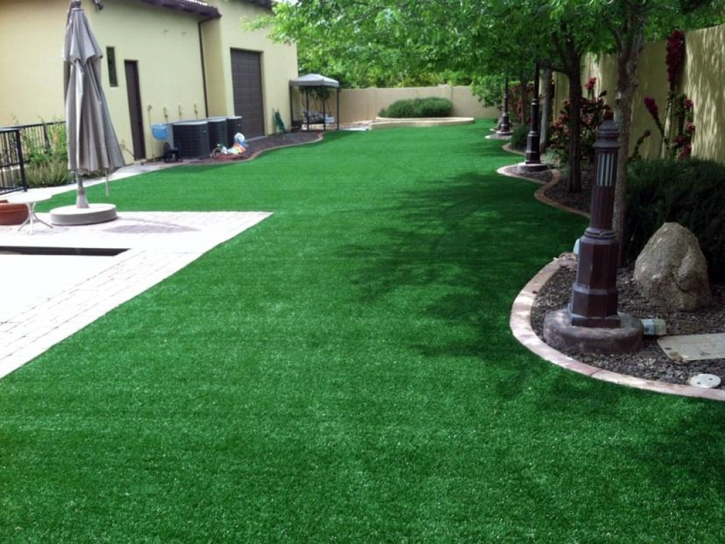 Fake Turf Citrus Ridge, Florida Paver Patio, Backyard Design