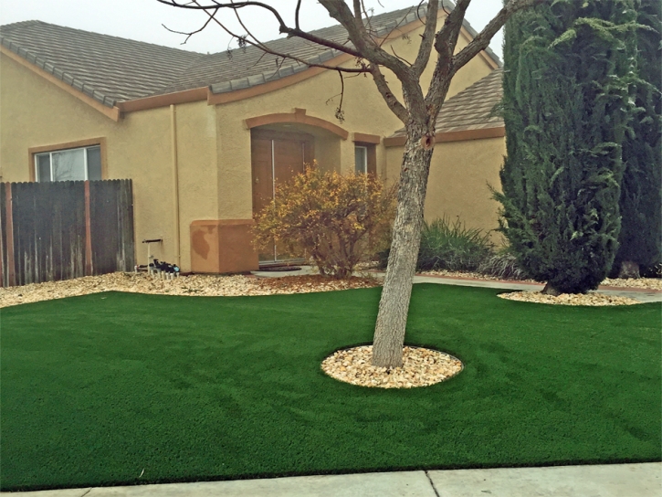 Fake Turf Clarcona, Florida City Landscape, Small Front Yard Landscaping