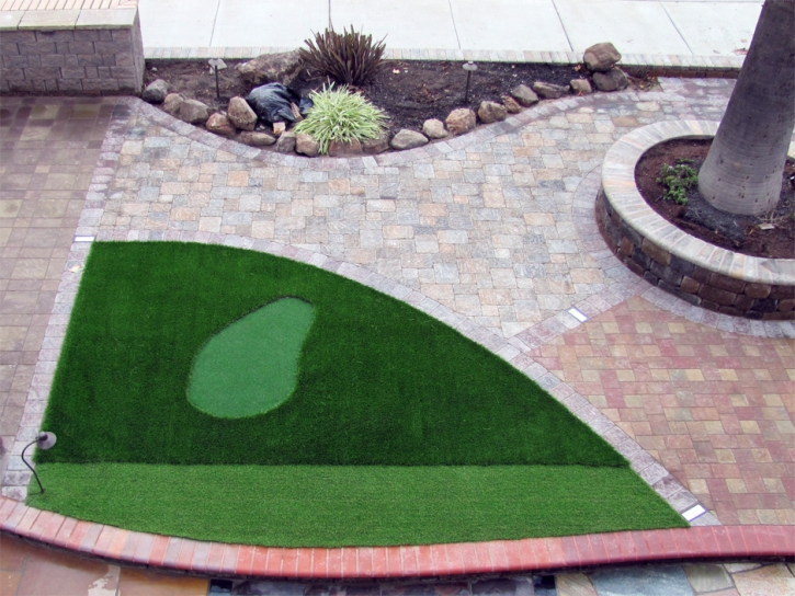 Fake Turf Hunters Creek, Florida Putting Green Turf, Front Yard Design