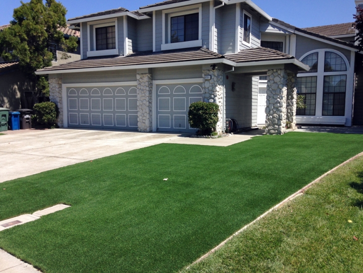 Fake Turf Inverness, Florida Gardeners, Front Yard Landscaping Ideas