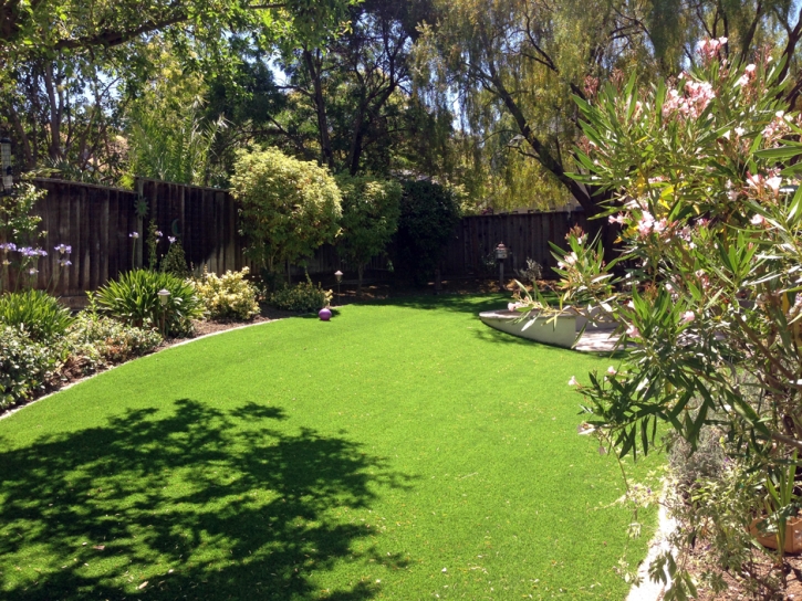 Fake Turf Mayo, Florida Backyard Playground, Small Backyard Ideas