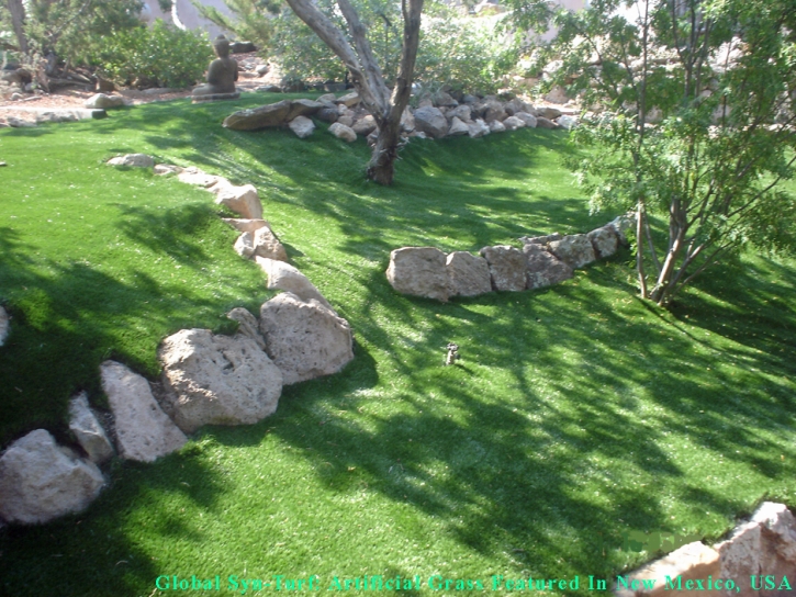 Fake Turf Neptune Beach, Florida Backyard Deck Ideas, Commercial Landscape