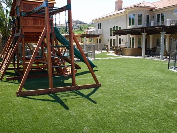 Fake Turf The Villages, Florida Playground, Backyards