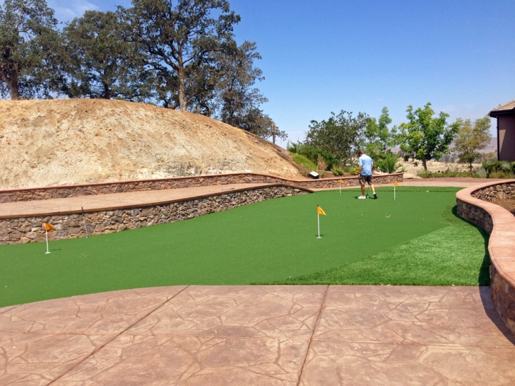 Fake Turf Waldo, Florida Outdoor Putting Green, Backyard Landscape Ideas