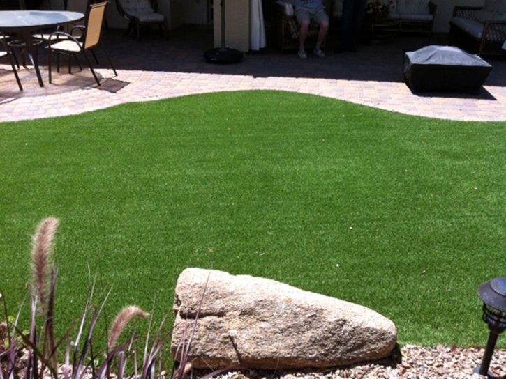 Faux Grass Bushnell, Florida Dog Running, Backyard Landscaping