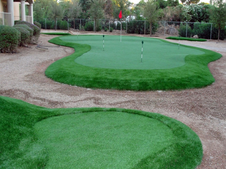 Faux Grass Butler Beach, Florida Best Indoor Putting Green, Small Backyard Ideas