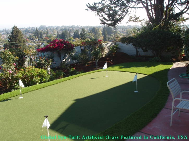 Faux Grass Callahan, Florida Putting Green Carpet, Backyard Landscape Ideas