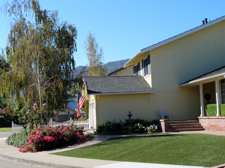 Faux Grass Day, Florida Landscape Rock, Front Yard Landscape Ideas