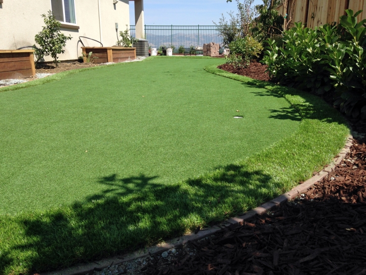 Faux Grass Heathrow, Florida Landscaping, Backyard