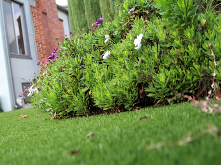 Faux Grass Interlachen, Florida Backyard Deck Ideas, Front Yard Ideas