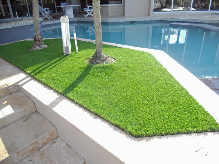 Faux Grass Lake City, Florida Design Ideas, Backyard