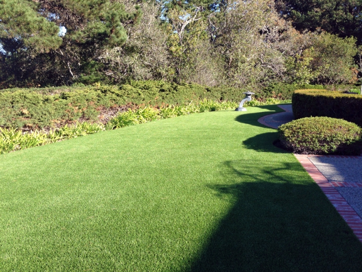 Faux Grass Orlando, Florida Gardeners, Front Yard Landscaping Ideas