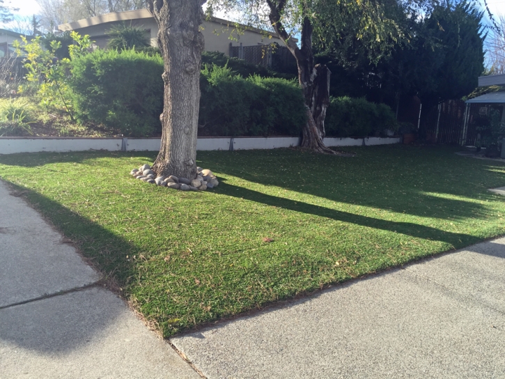 Faux Grass Pine Ridge, Florida Gardeners, Small Front Yard Landscaping