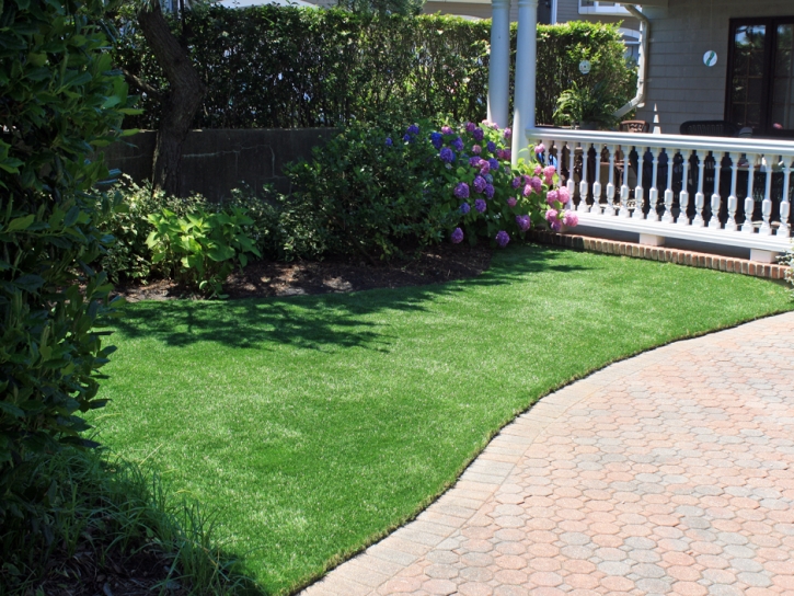 Grass Carpet Crescent City, Florida Landscape Photos, Landscaping Ideas For Front Yard