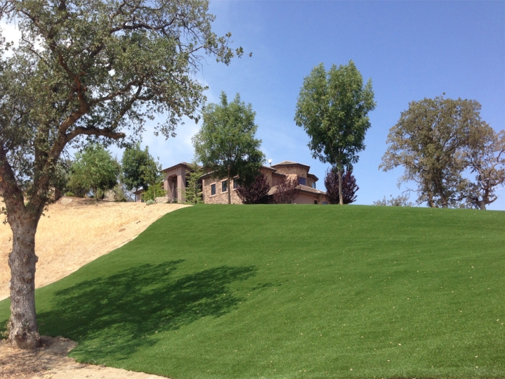 Grass Carpet Crystal River, Florida Landscape Rock, Landscaping Ideas For Front Yard