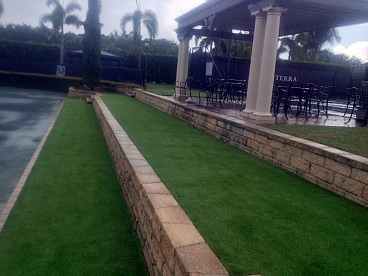 Grass Carpet Dade City, Florida Backyard Playground, Commercial Landscape