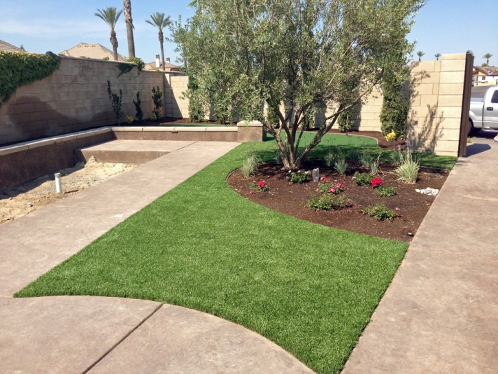 Grass Carpet Eustis, Florida Backyard Deck Ideas, Small Front Yard Landscaping