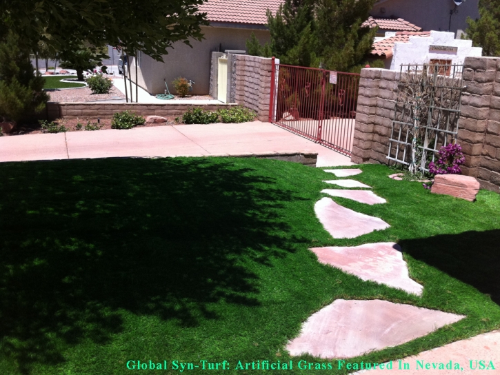 Grass Carpet Green Cove Springs, Florida Lawns, Front Yard Landscaping Ideas