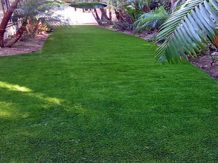 Grass Carpet Newberry, Florida Landscaping, Backyard Makeover