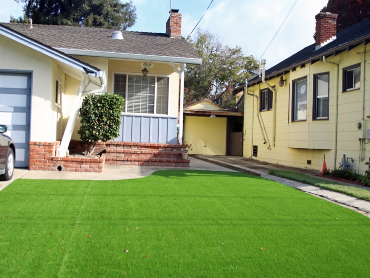 Grass Carpet Saint Augustine Beach, Florida Lawn And Landscape, Front Yard