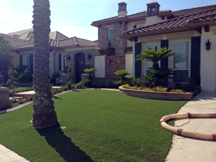 Grass Carpet Wekiwa Springs, Florida Rooftop, Front Yard Landscaping Ideas