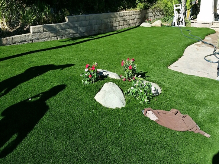 Grass Carpet West DeLand, Florida Home And Garden, Front Yard Ideas