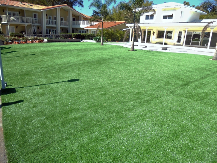 Grass Carpet Williamsburg, Florida Landscape Ideas, Kids Swimming Pools