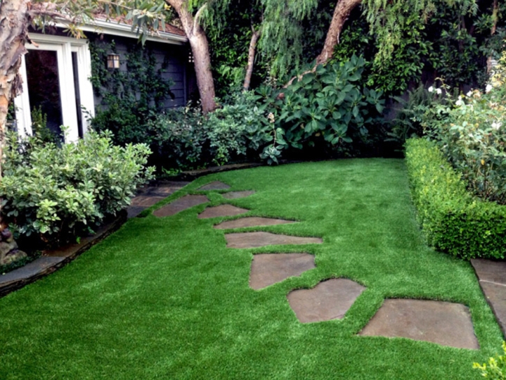 Grass Carpet Zephyrhills, Florida Backyard Deck Ideas, Beautiful Backyards