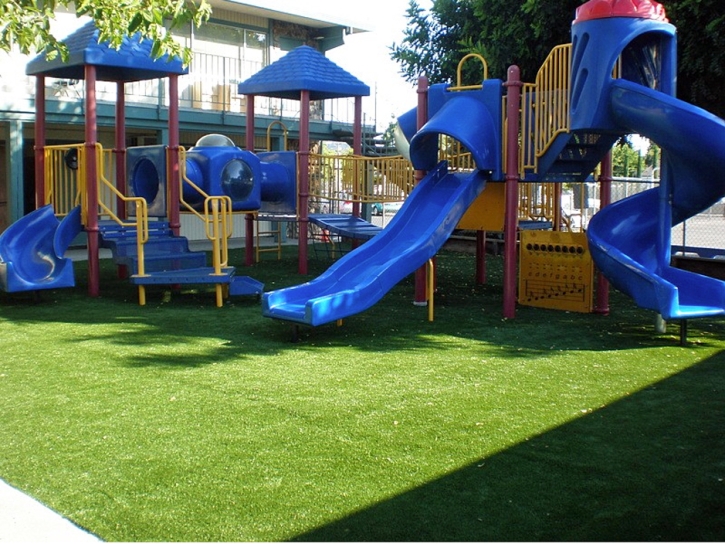 Grass Installation Andrews, Florida Lawn And Landscape, Commercial Landscape