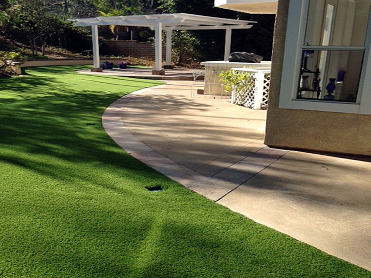 Grass Installation Astatula, Florida Cat Playground, Front Yard Design