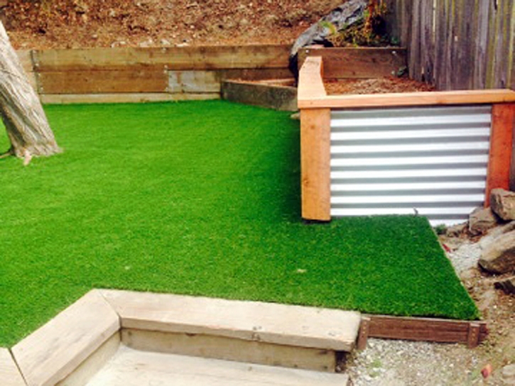 Grass Installation Crescent City, Florida Backyard Playground, Small Backyard Ideas