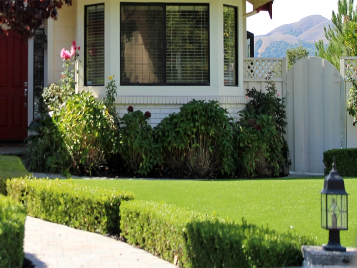 Grass Installation Eatonville, Florida Gardeners, Front Yard Design