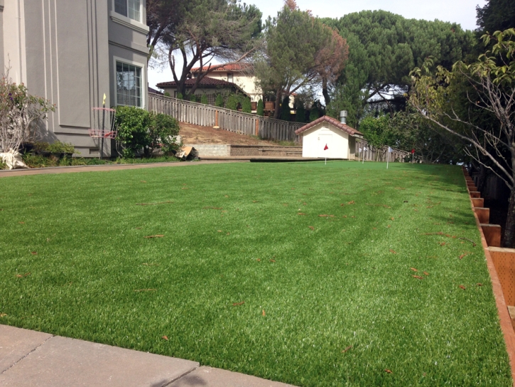 Grass Installation Hernando, Florida Office Putting Green, Small Backyard Ideas