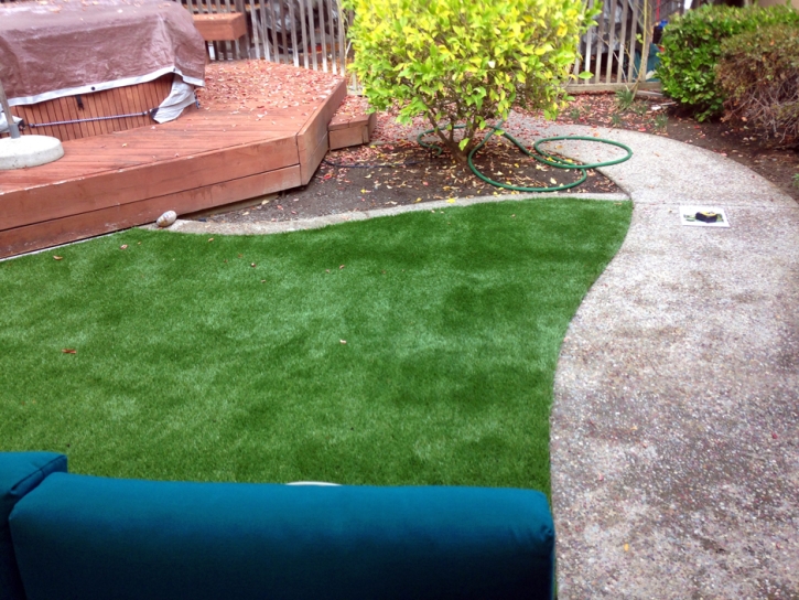 Grass Installation Lake Butler, Florida Lawn And Garden, Backyard Landscaping Ideas