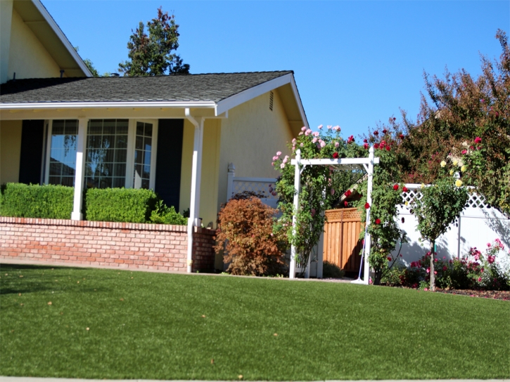 Grass Installation Manatee Road, Florida Design Ideas, Front Yard Landscape Ideas