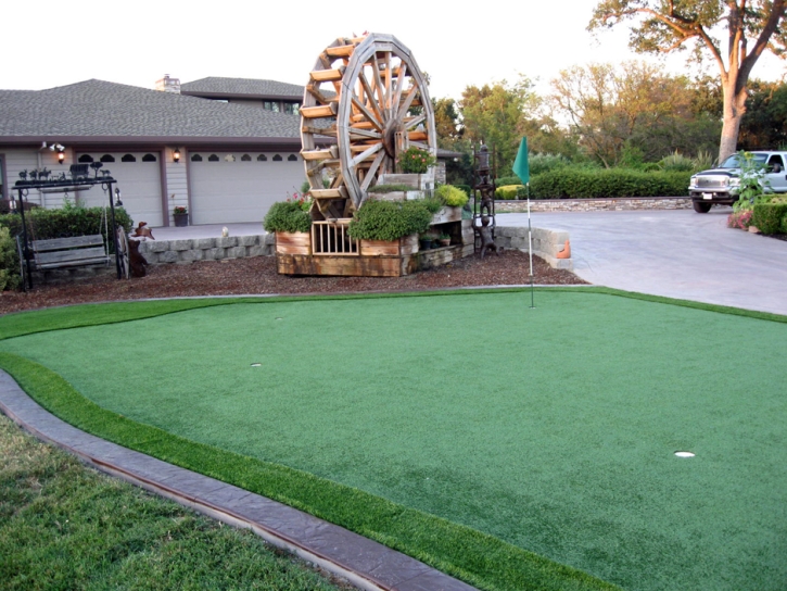 Grass Installation Palm Coast, Florida Diy Putting Green, Front Yard Ideas